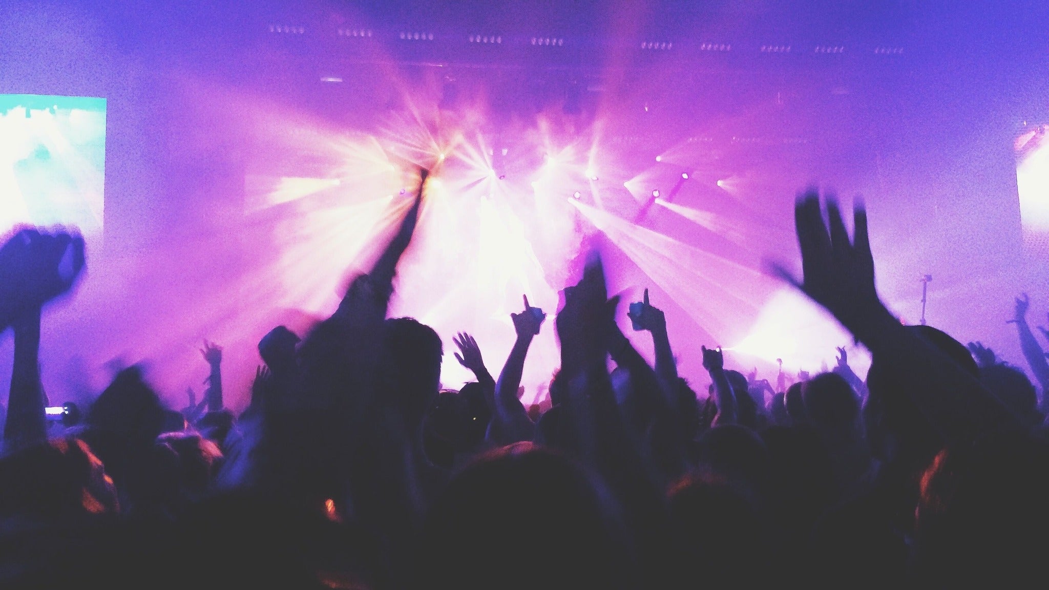 All You Need is George - All Ages (under 16 with adult)