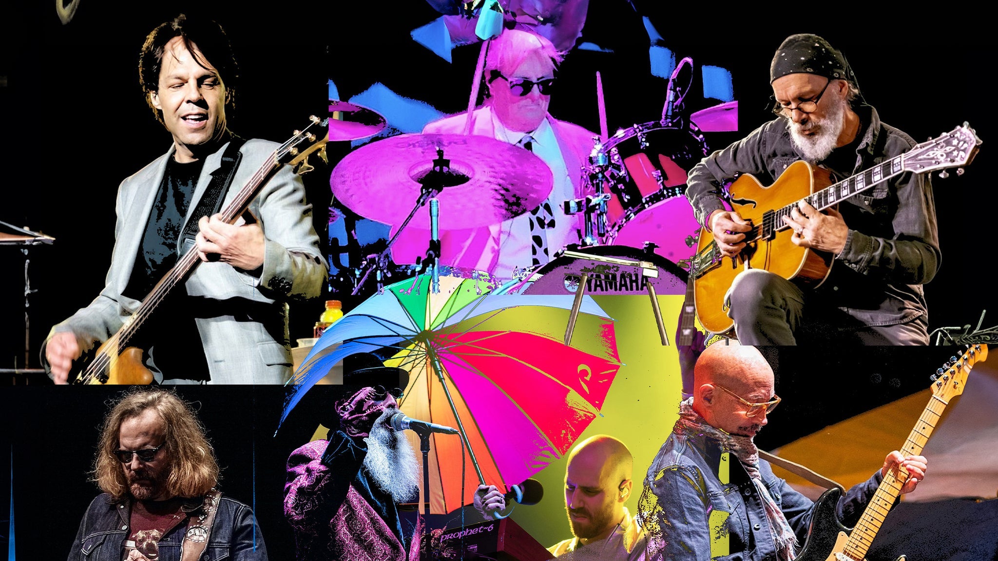 'All You Need Is George' : An All-Star Celebration of George Harrison