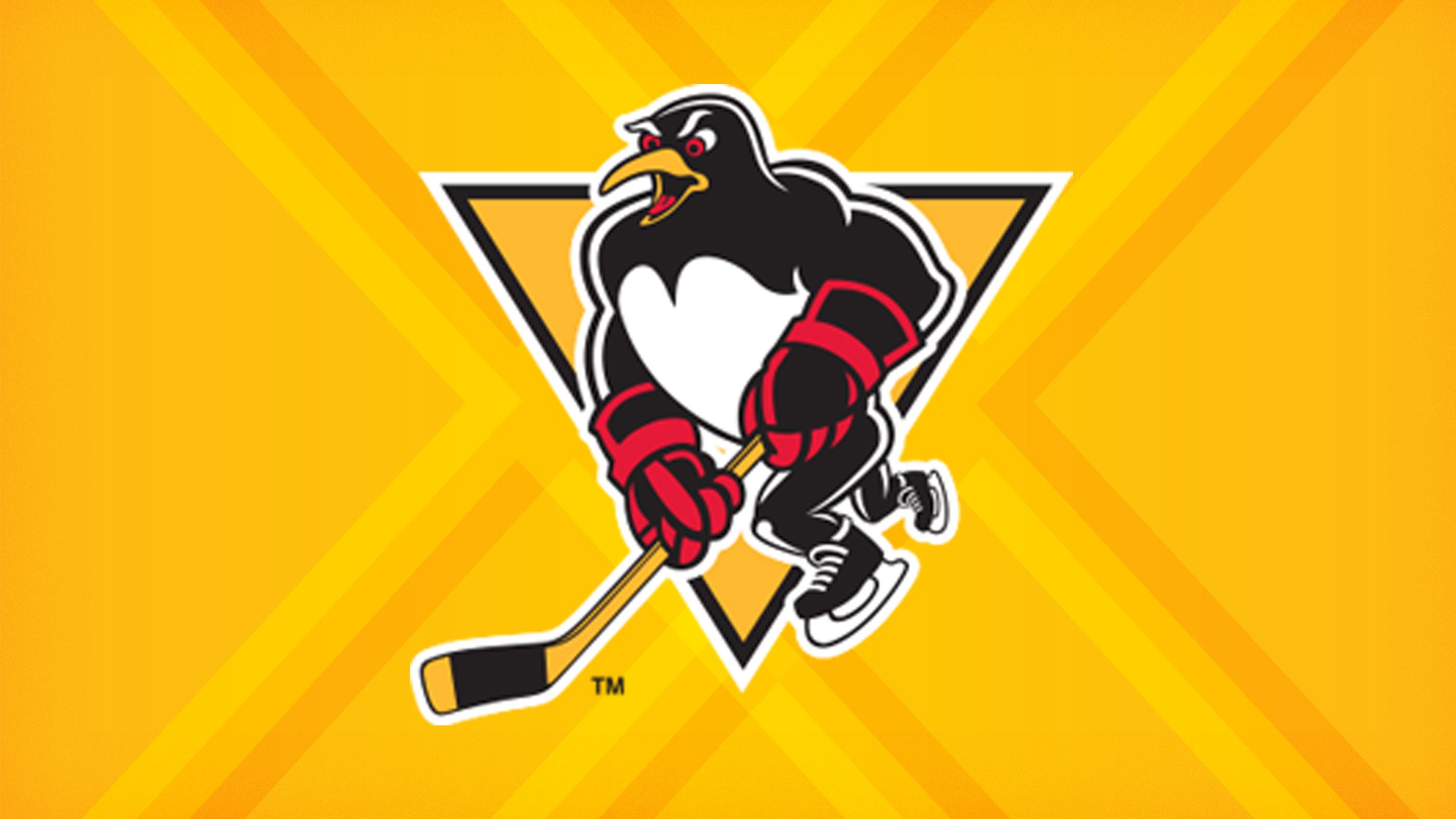 Wilkes Barre Scranton Penguins vs. Lehigh Valley Phantoms