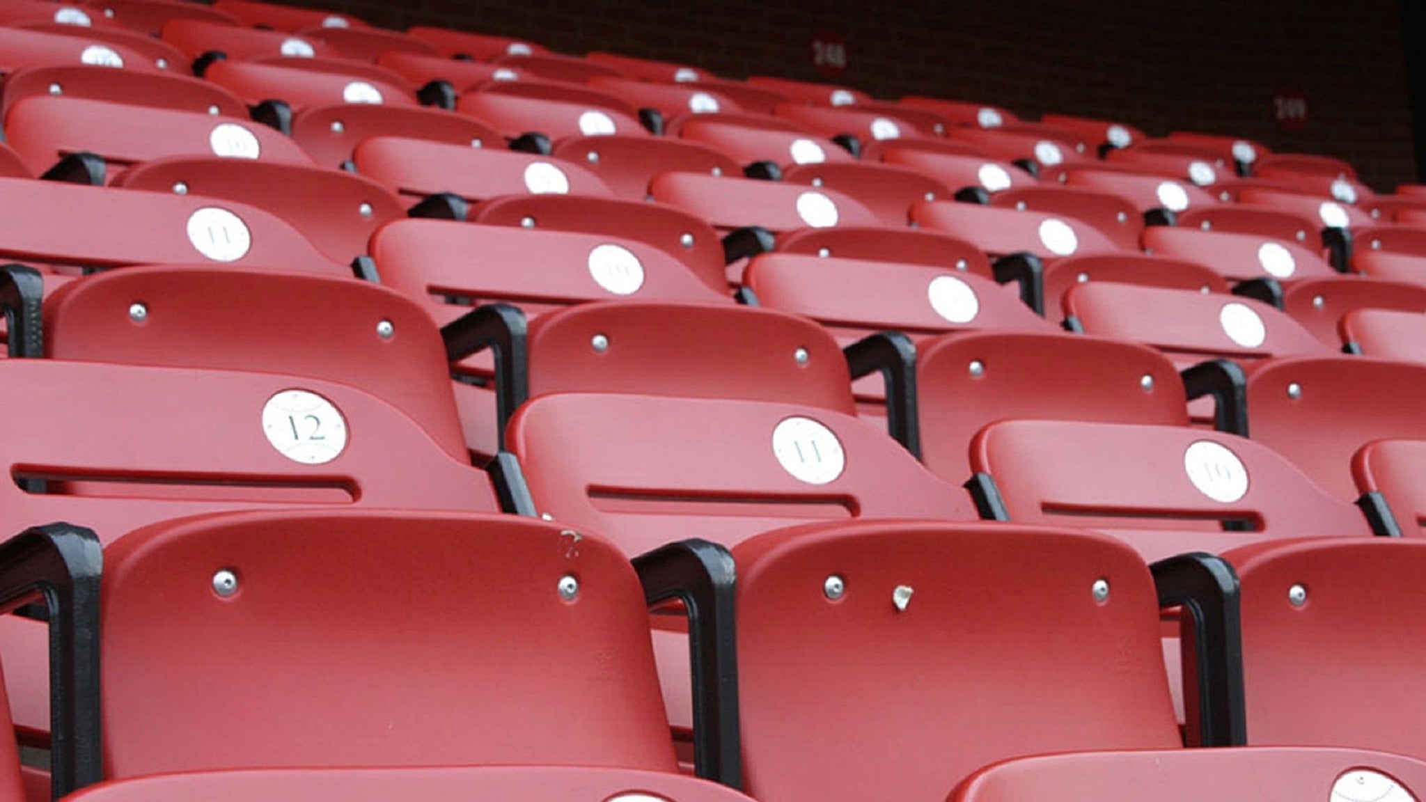 South Florida Bulls Softball